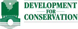 Chameleon Logo